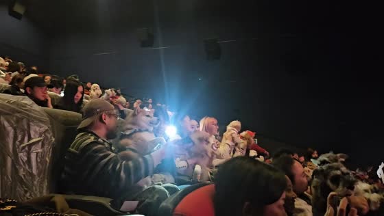 Pets enjoy a movie day at the cinema in Chongqing, China