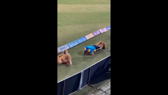 Yak mascot hilariously falls at public event in Kathmandu, Nepal