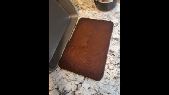 Burnt brownies baking fail in Punta Gorda, Florida, USA