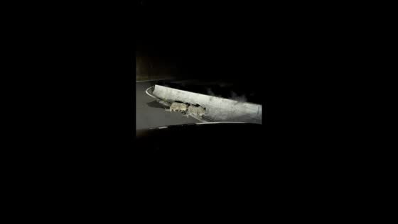 Two snow leopards block rural road during rare nighttime encounter near Lhasa, China
