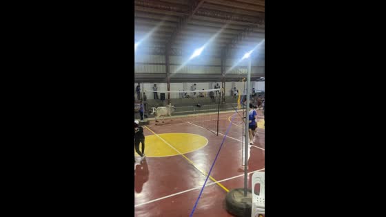 Cow interrupts volleyball game in Batangas