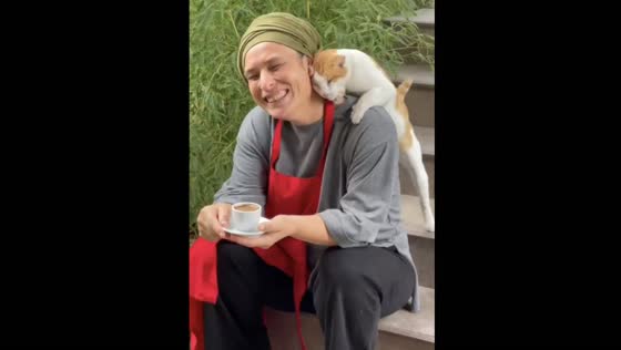 Cuddly cat love: owner captures heartwarming moment of feline affection