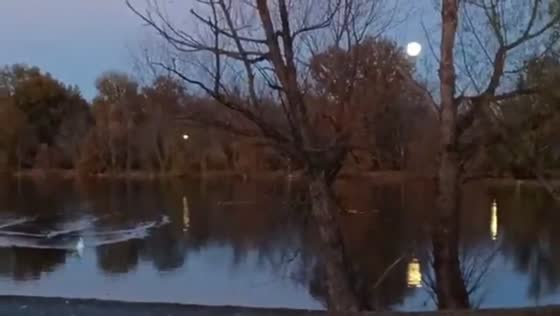 Cold Moon shines over calm lake in Verdigris, Oklahoma, USA