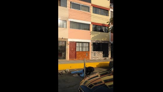 Skateboarder loses balance and falls in Lima parking lot