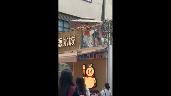 Puppy stuck walking in place on store awning in Sichuan, China