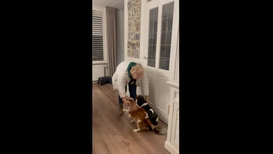 Unforgettable homecoming: dogs' joyful reunion after 4 days