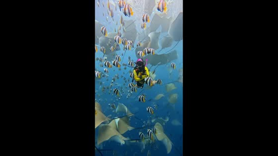 Diver captures stunning underwater view in Hulhumalé, Maldives