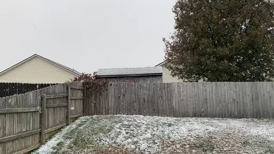 Heavy snow squall blankets Georgetown, Kentucky, USA