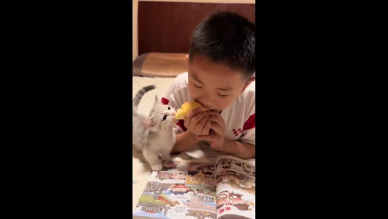 Kitten joins boy for durian snack in Zhejiang, China