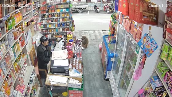 Monkey steals drinks from store in Guizhou, China
