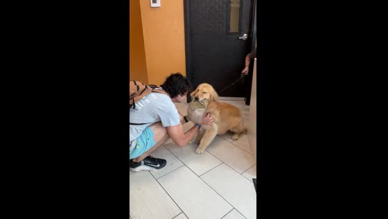 Touching reunion: emotional dog embraces owner after time apart
