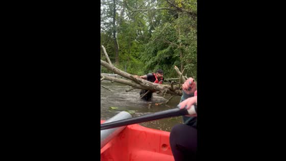 Hilarious mishap: Dr. Riaz Sharif takes a dip after tree-climbing adventure