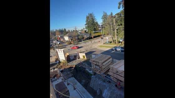 Bread-throwing driver creates crow convoy craze in Surrey