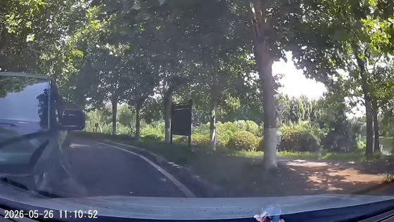 Oncoming car drifts across center line, causing crash on curve in Shandong, China