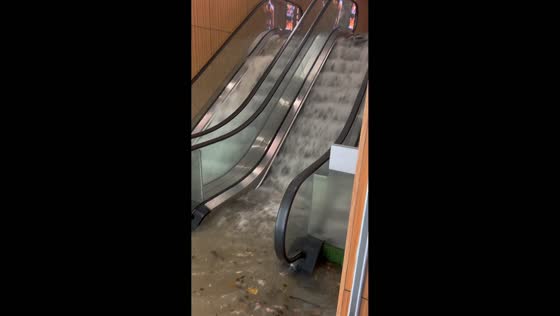 Torrential rain sends floodwaters into underground supermarket in Shanghai, China