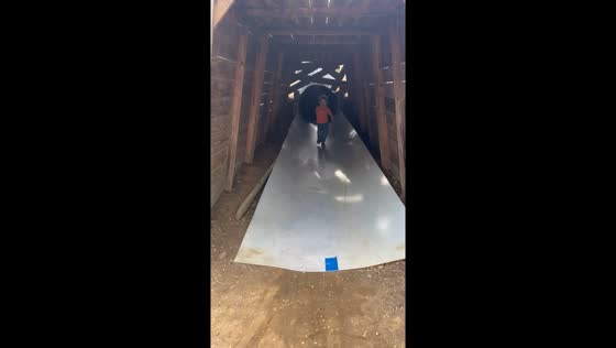 Boy throws pumpkin down slide in Cullman, Alabama, USA