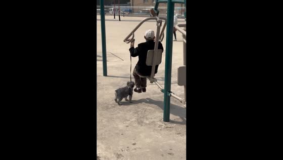 Dog hilariously lifts during elderly man’s workout in Jiangsu, China