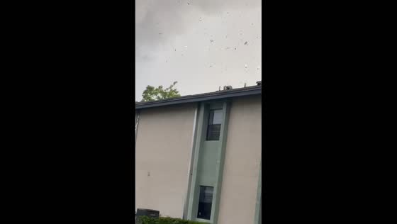 Tornado touches down with debris swirling in Largo, Florida, USA