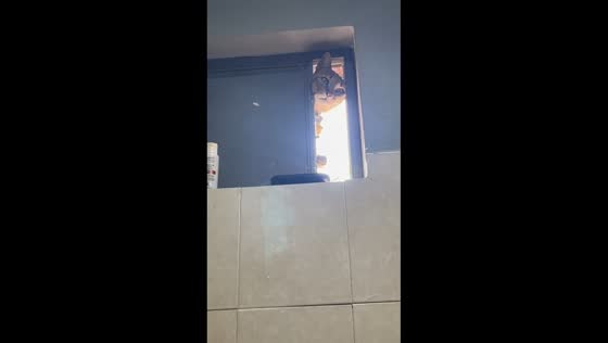 Cat climbs and opens bathroom window to get inside in Colima, Mexico