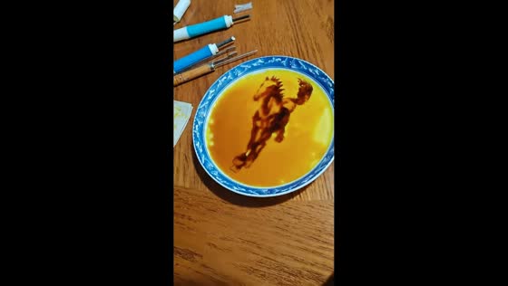Creative horse art made with steamed egg and soy sauce in Yunnan, China