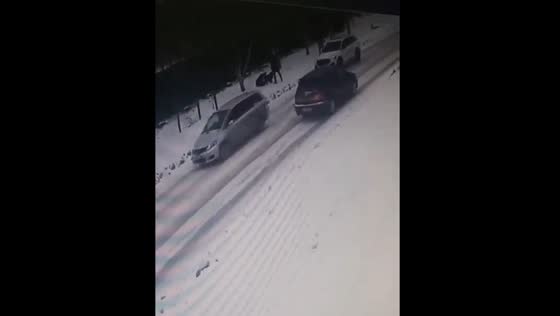 Brave motorist rescues teenager from dog attack in Biysk: investigation underway