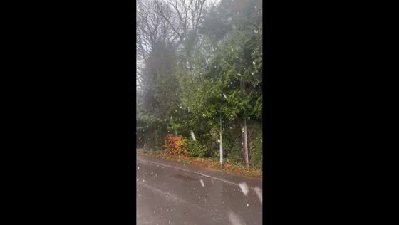 Heavy early winter snowfall blankets Heathfield, UK
