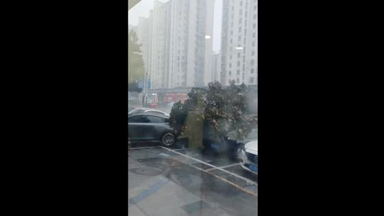 Near miss as wind-blown tree falls on cars in Wuxi