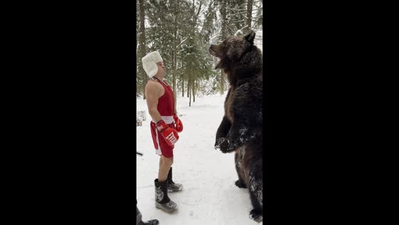 Russian boxer Igor spars with 5-year-old bear, Tom, in Moscow video