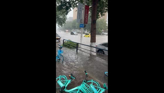 Car reverses through flooded road in Liaoning, China